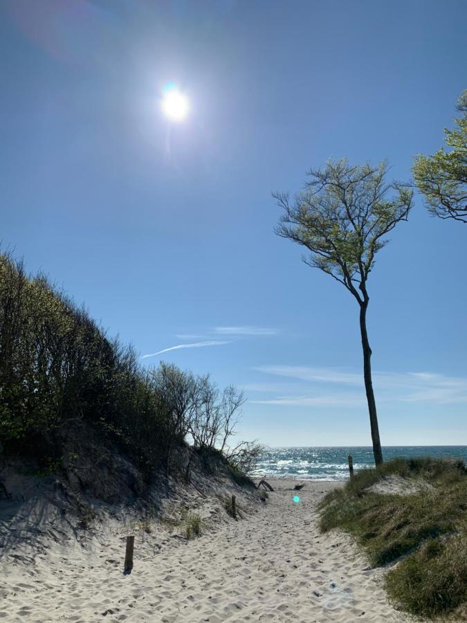 Ferienwohnung Strandgut - Kavelweg 9 - זינקסט מראה חיצוני תמונה